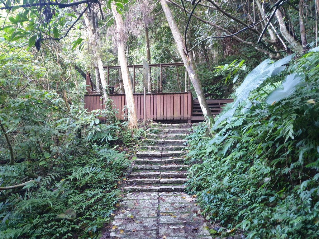 20221218金牌縱走_1995537