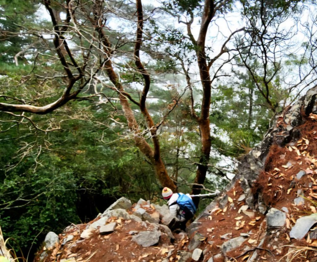 【中級山】谷關七雄波津加山_2742283
