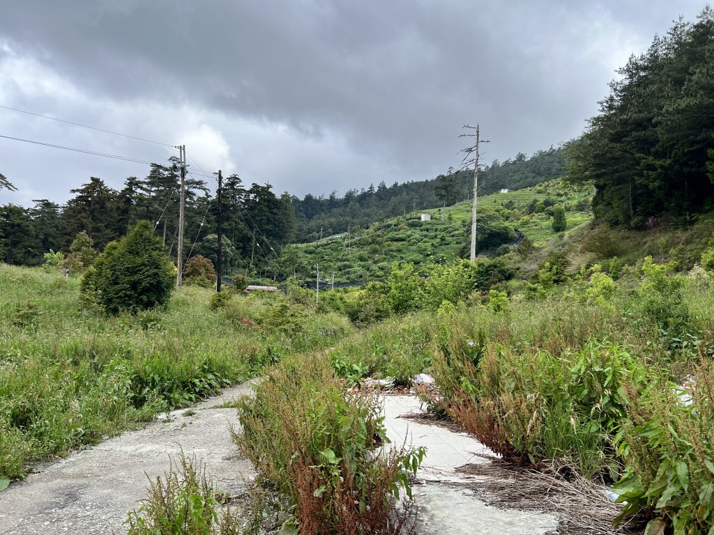 將軍廟上天鑾池上下_2162779