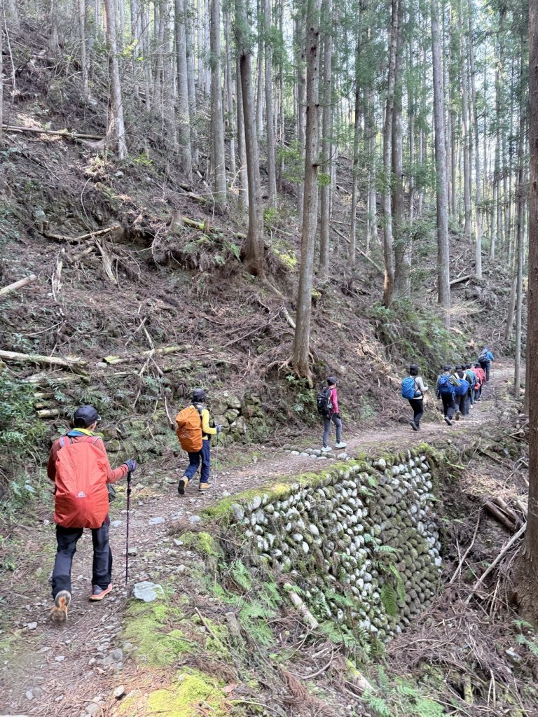 熊野古道中邊路D7 小雲取越 (小口-請川) 2025.3.22_2747215