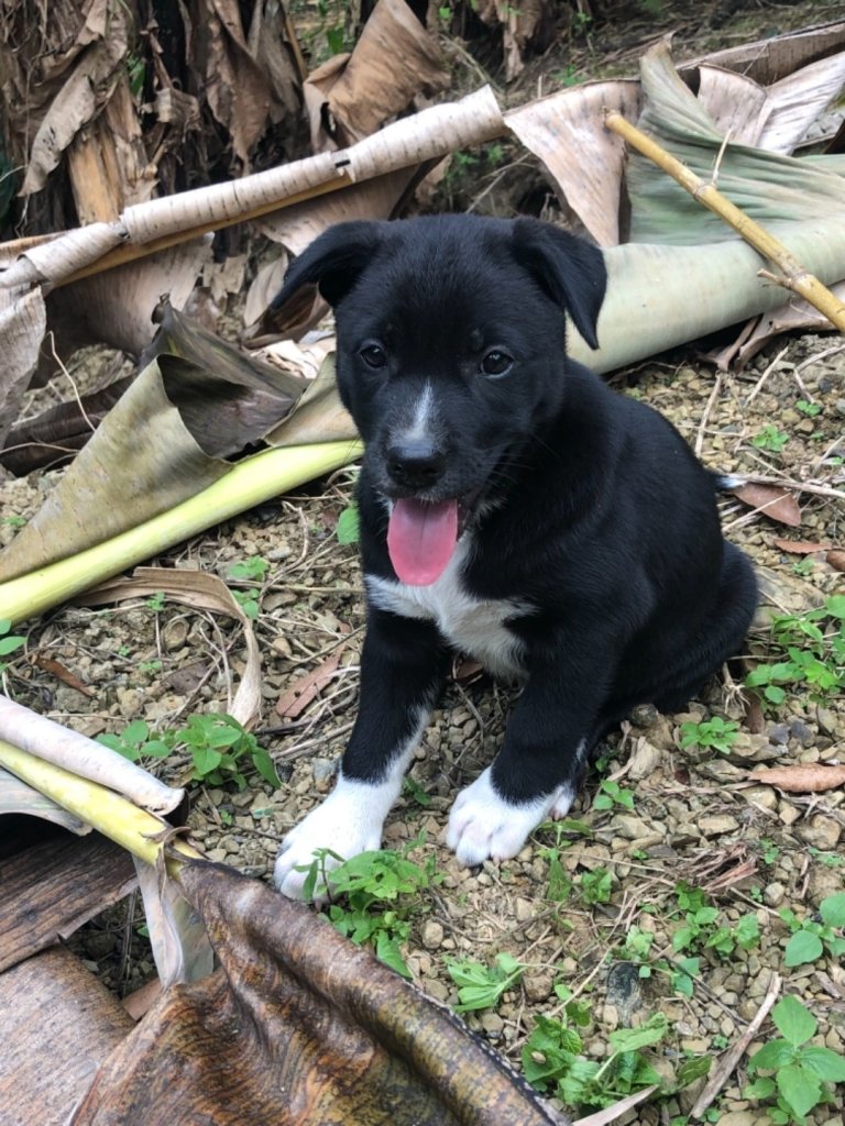 瑞峰海鼠山1314觀景台與太興飛瀑_685955