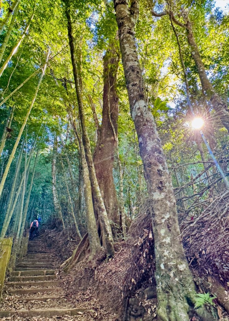 九穹神木 左訪嘉南雲峰 右到好望角看風景上石壁山(小百岳#55)_2944772