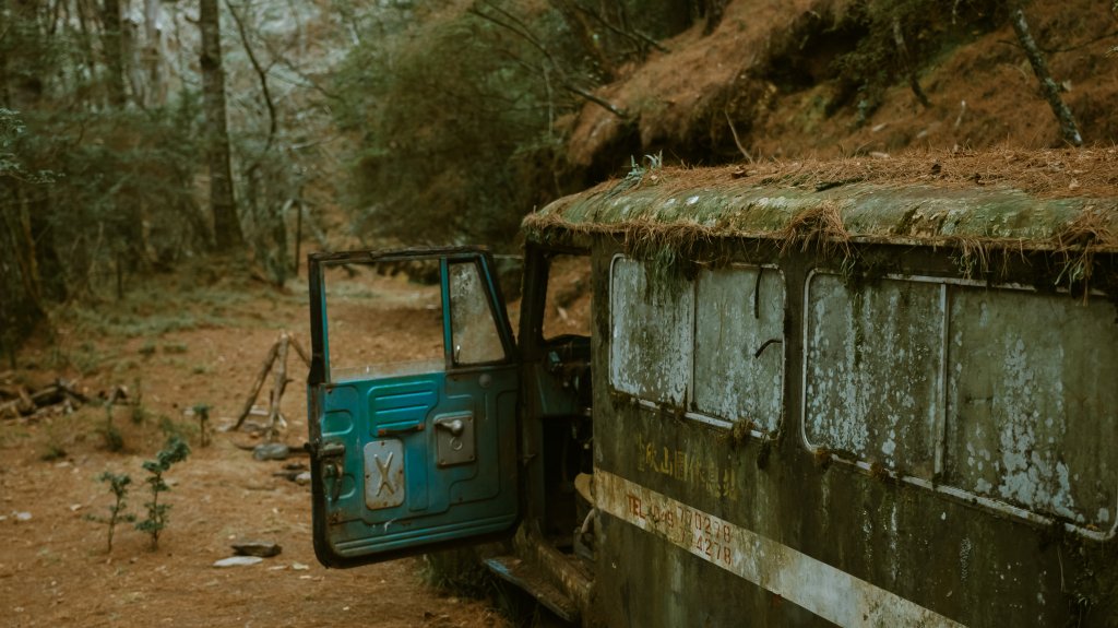 沉睡在郡大林道的龍貓公車_2010817
