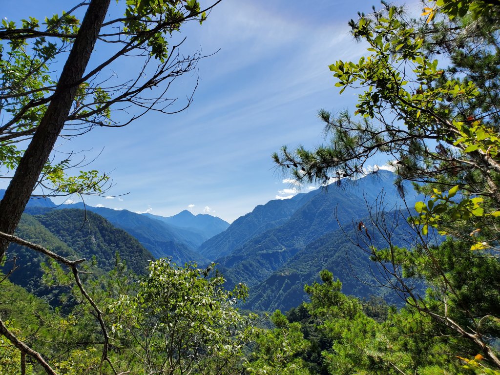 東卯山東南稜串德芙蘭步道_1082661