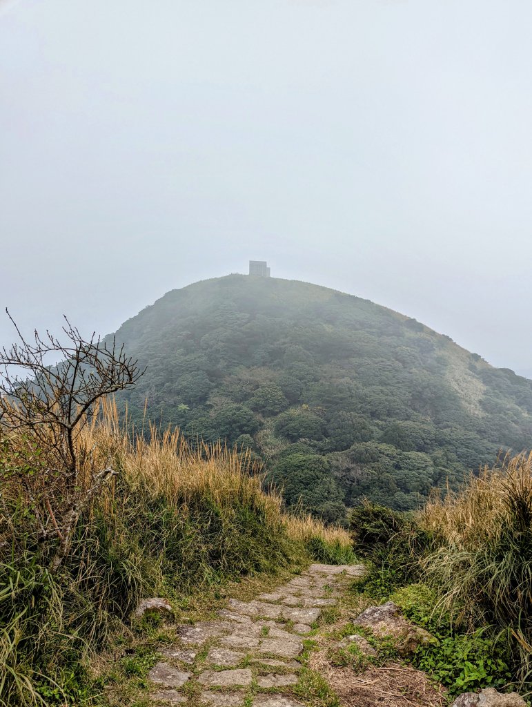 寒風中面天山、向天山及二子坪步道巡禮_1565710