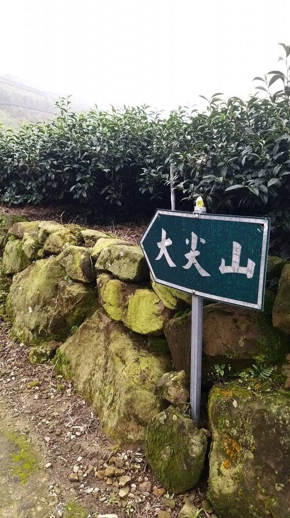 220820-挑筍古道(後棟仔山、小百岳#056雲嘉大尖山)_1834535