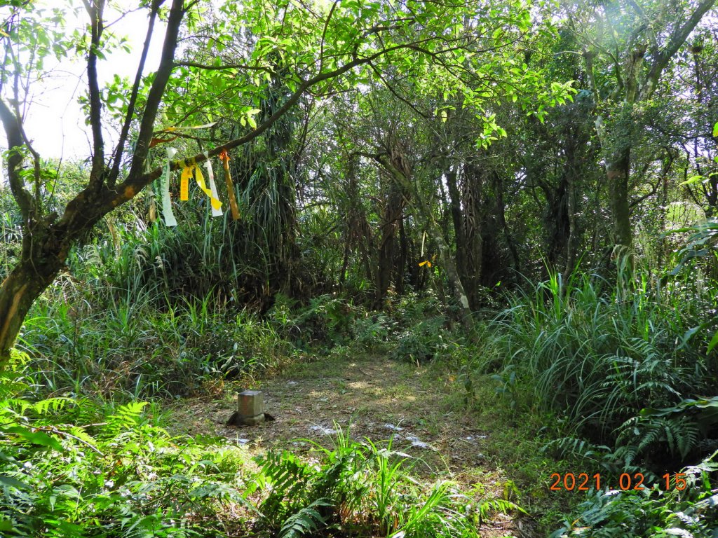 新北 雙溪 上內平林山、下內平林山_1273153