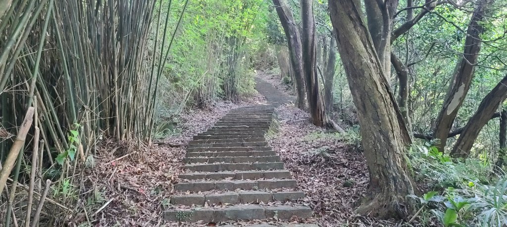 2022-0630 坪頂古圳雙溪古道O型_1751004