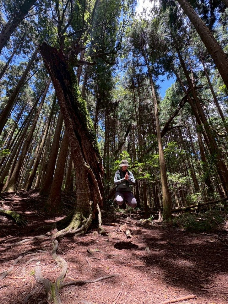 民都有山_2844982