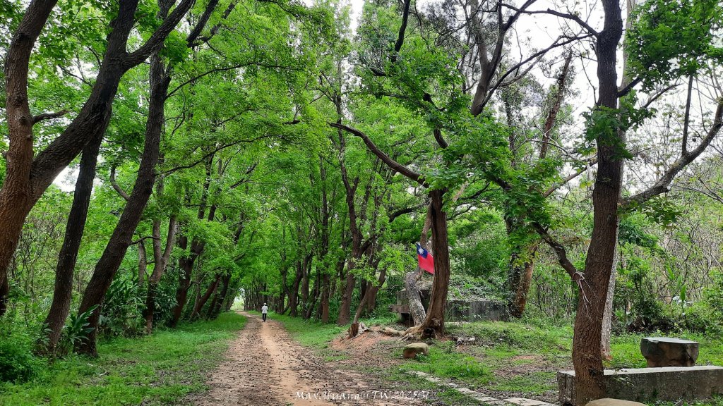 《苗栗》楓香林道｜頭份老崎古道（後花園步道）20250329_2748875