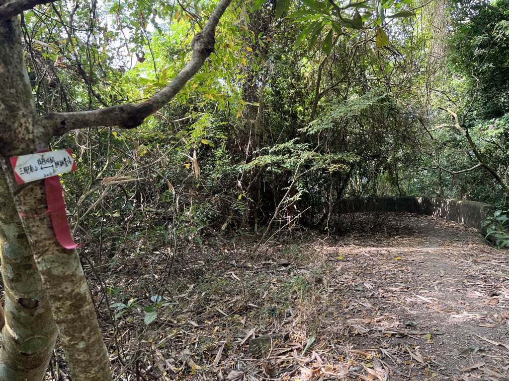 2023_1118 三腳南山_2353234