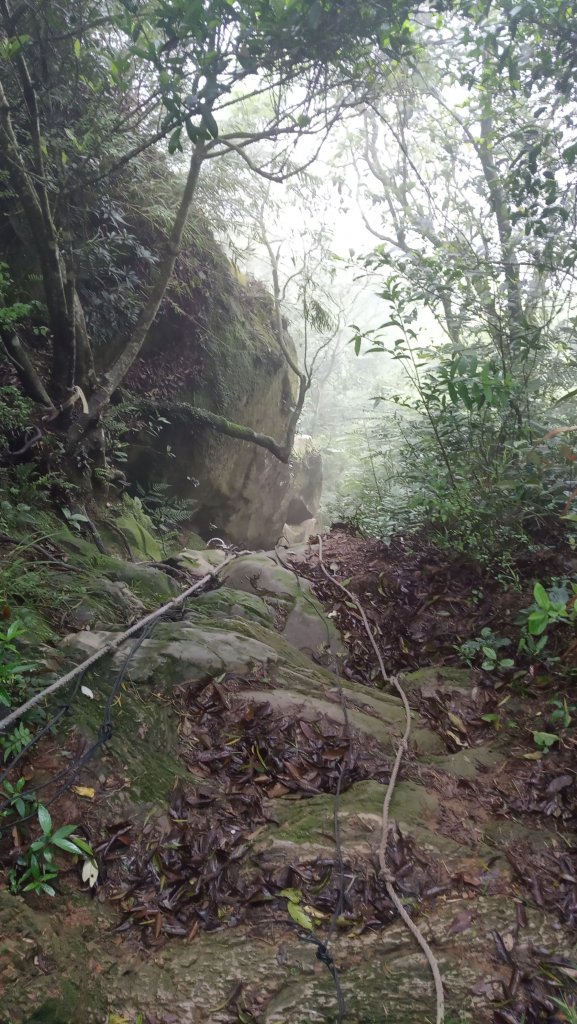 四獸山縱走_907432