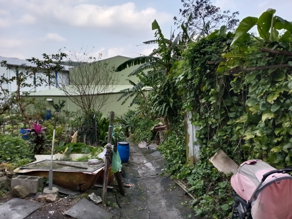 基隆市三層山+湳子大崙+淡基橫斷古道+面桶寮土地公_2982208