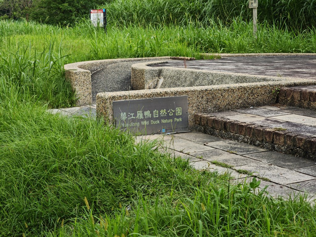 [跟著2025雙北世壯運探索雙北市-1/21] 2025_0607 飛盤競技道（華江雁鴨河濱步道）_2807844