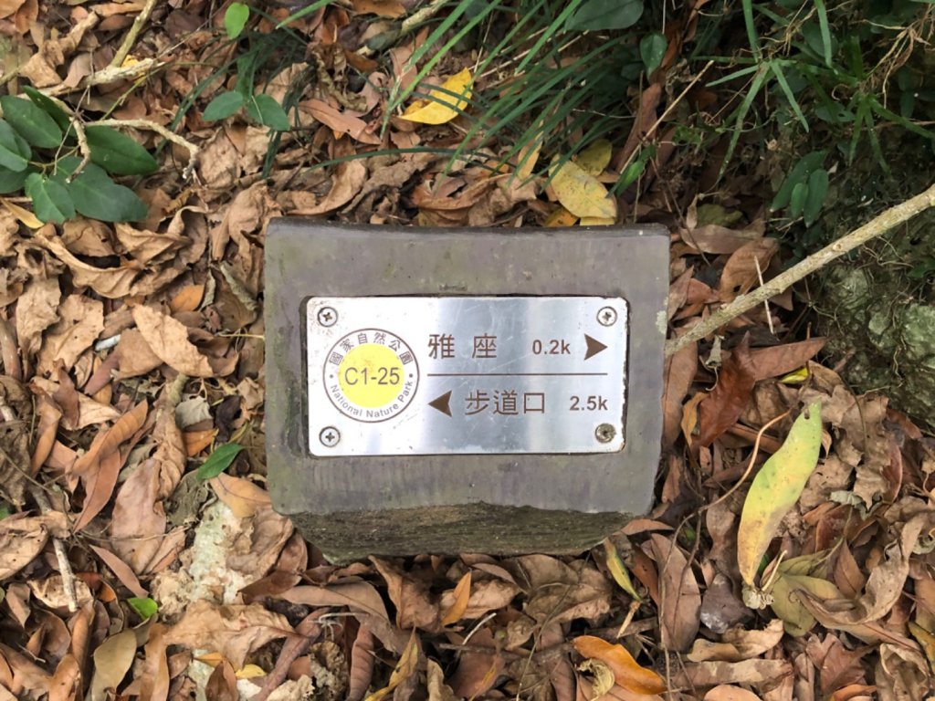 2020.04.02北柴山_900702