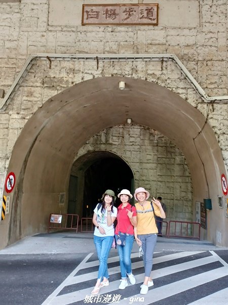 【花蓮秀林】台灣百大必訪步道。 白楊步道_2230647