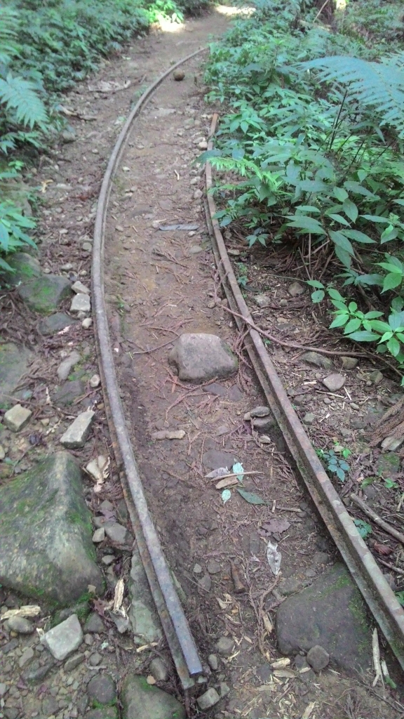 20150705苗栗加里山(鹿場入口)_27564