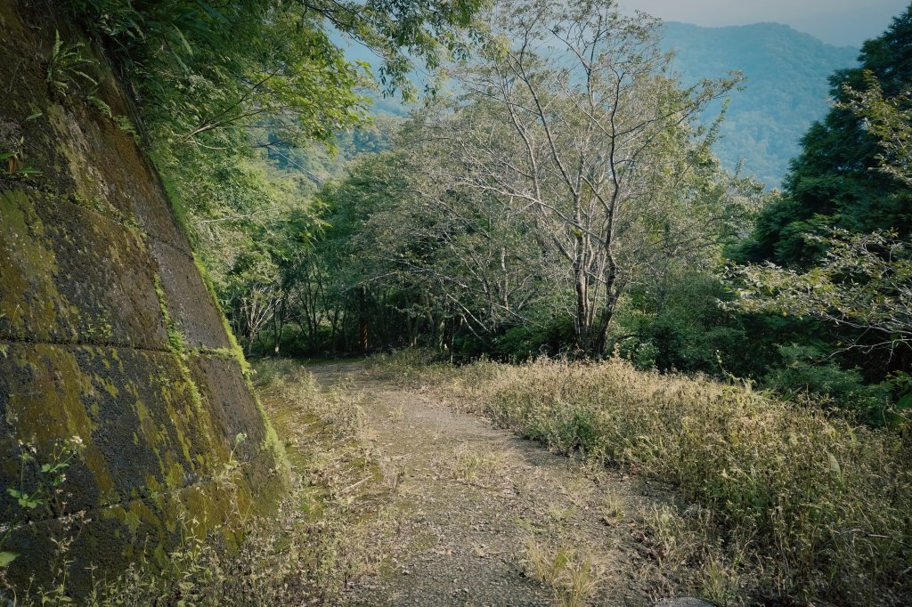 桃園復興區 處暑‧北插天山岩戶線_2868459