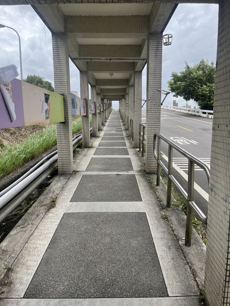 [貓空路跑健步活動任務] 2024_1002 貓空路跑健步活動_2616542