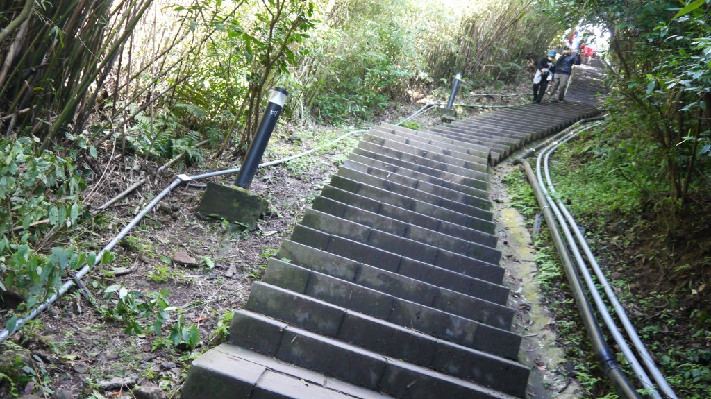 觀音山登山健行趣(小百岳05號)_1632339