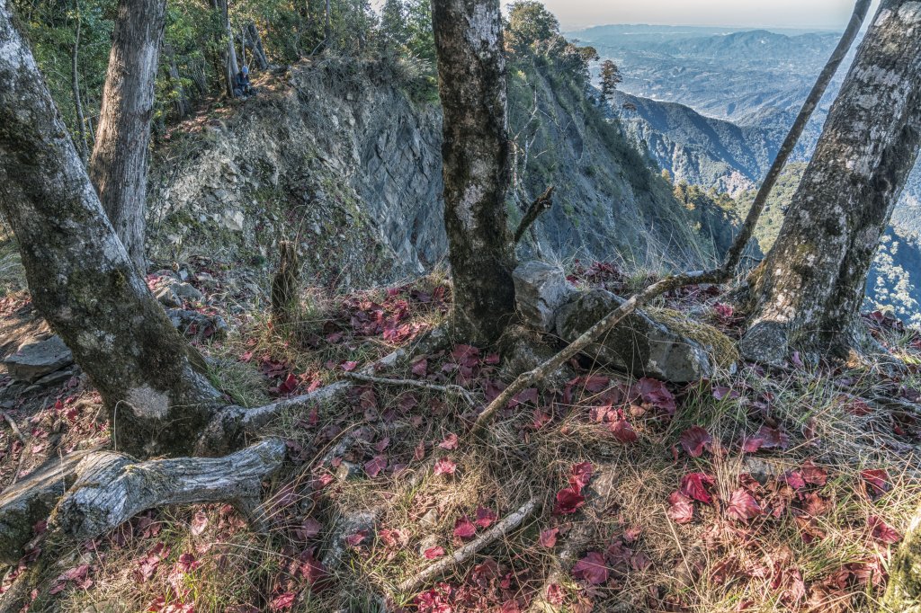 20221222稍來山_1964784