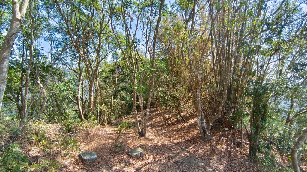 暗影山（酒桶山）台中小百岳_2041994