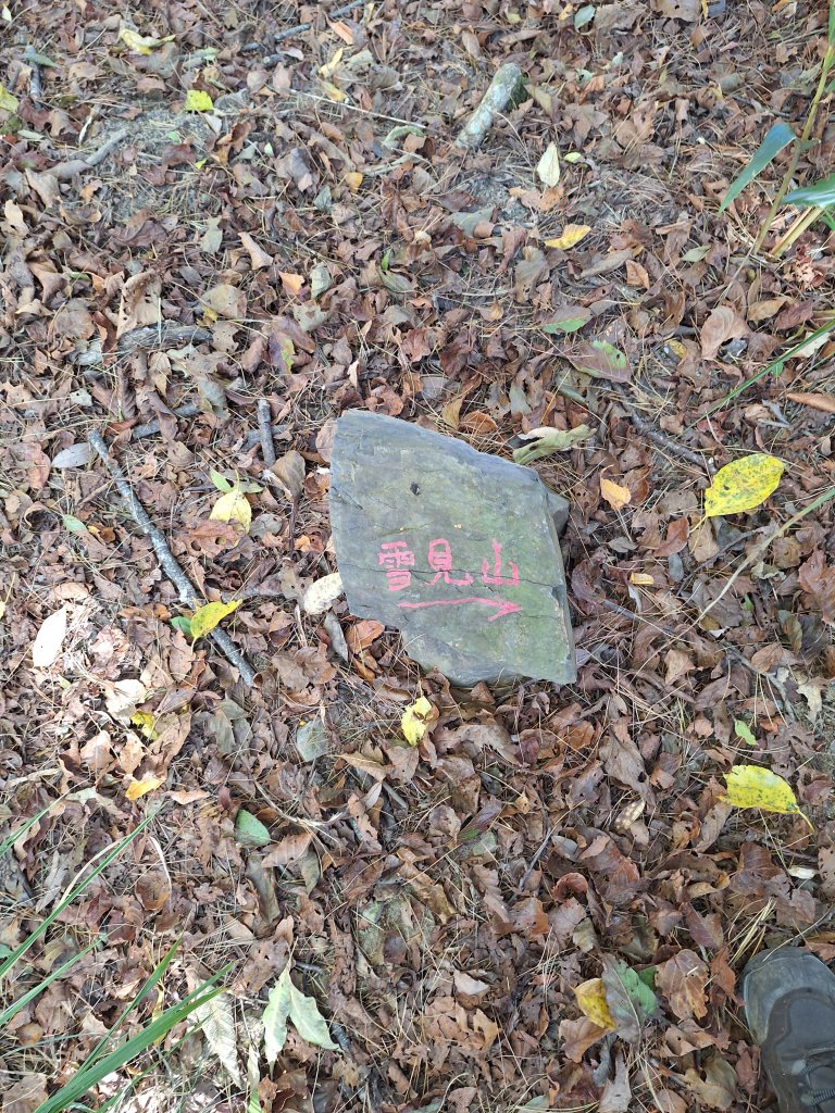 雪見駐在所+雪見山20251225_2971679