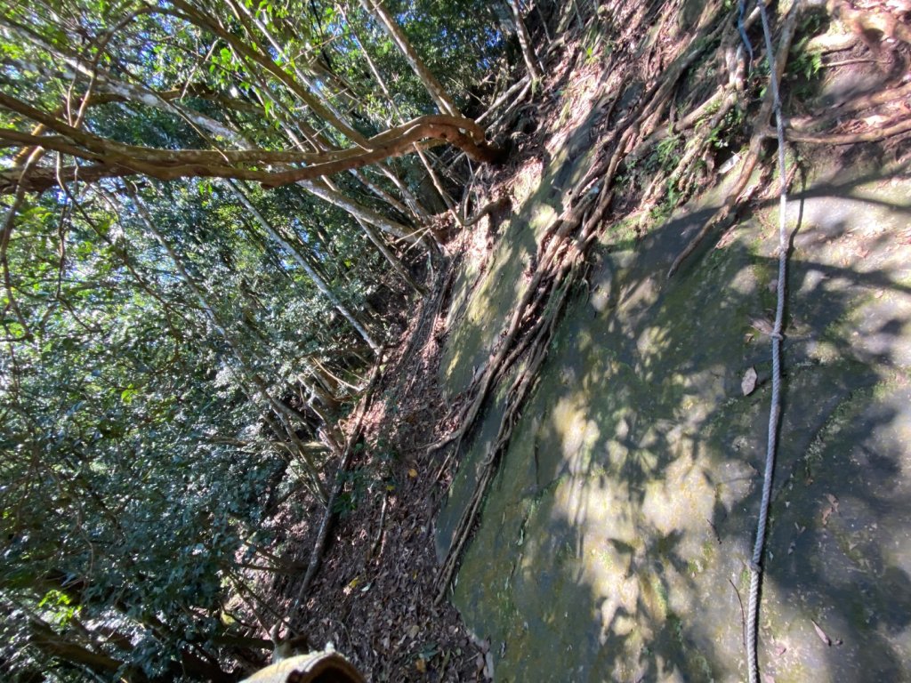 033仙山(神仙縱走）_2604267