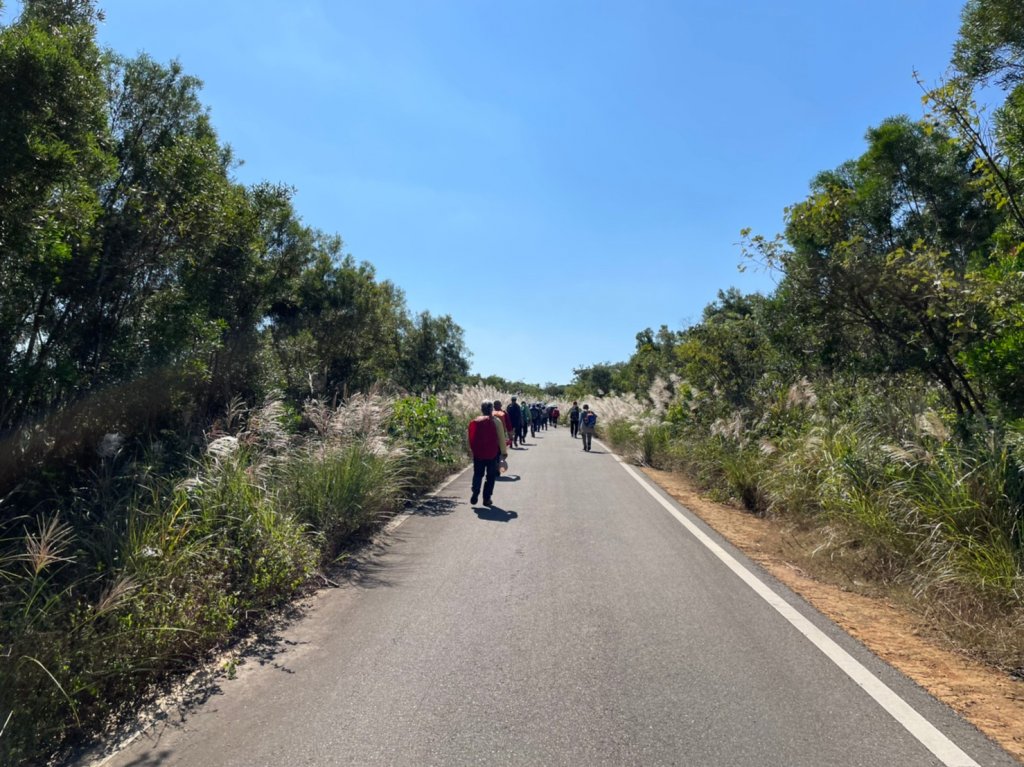 2021銅鑼杭菊季‧情花開浪漫11月雪_1517958