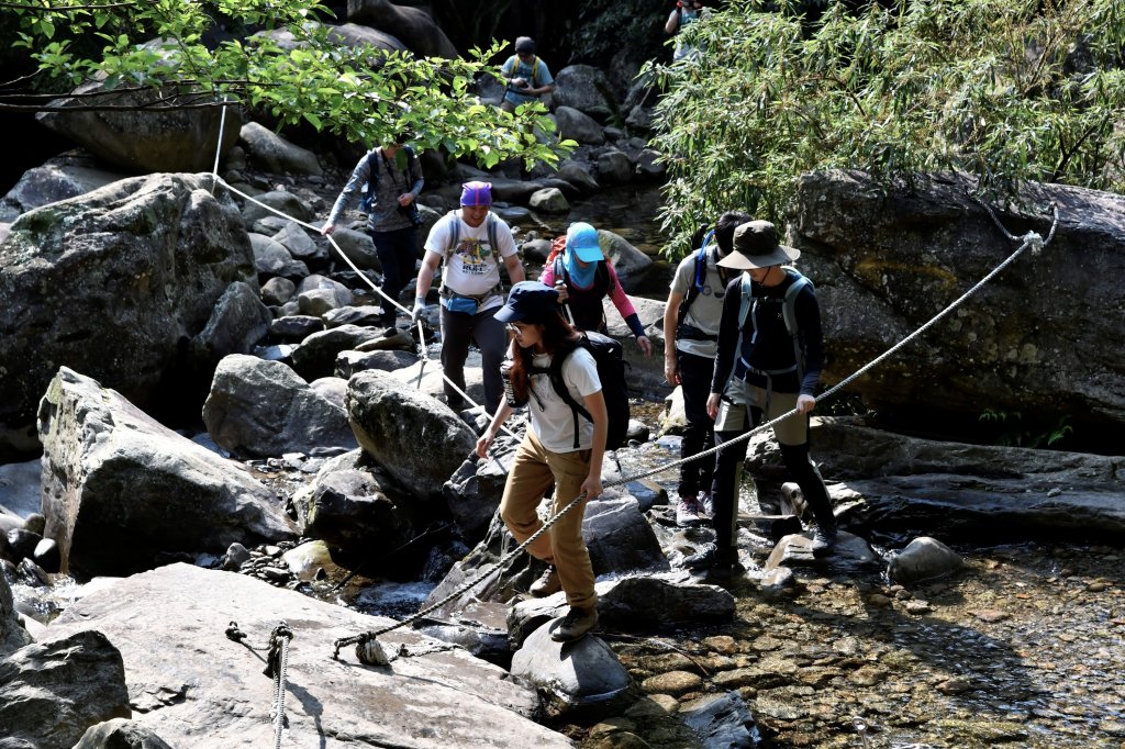 加里山。杜鵑嶺封面圖