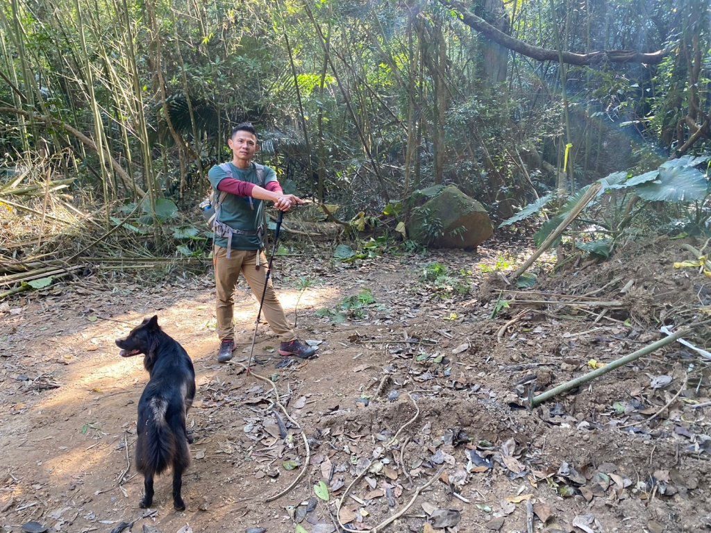 金童山.汶水山.玉女山【冬天的郊山縱走=高山等級的享受】_2680921