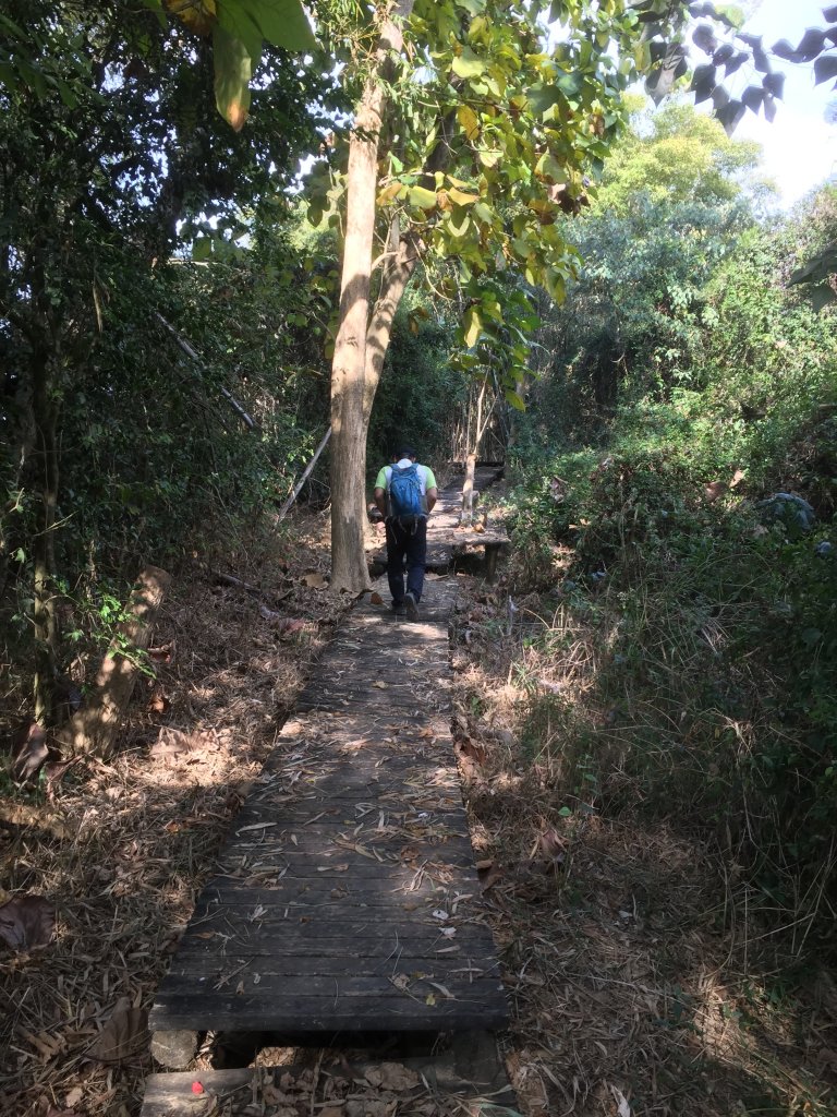 20230123高雄上坑山_2016221