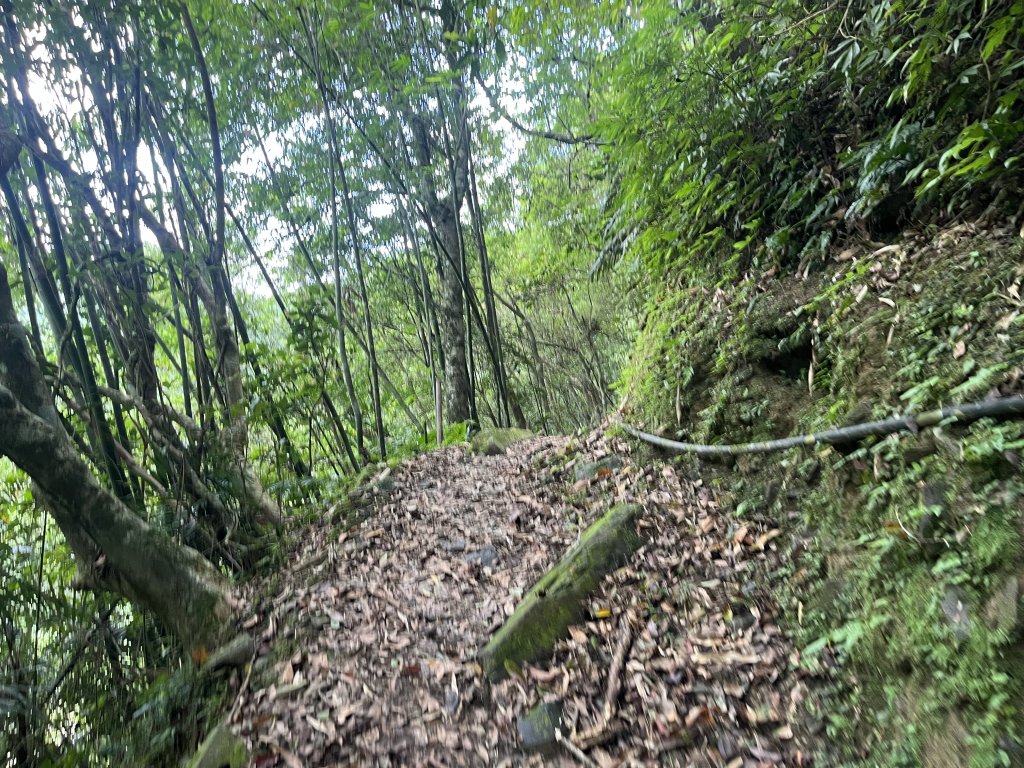 [淡蘭古道] 2024_0622 中路第五段-灣潭古道_2533985