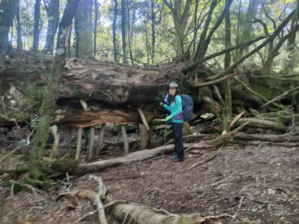 1110227 羅馬縱走_1620683