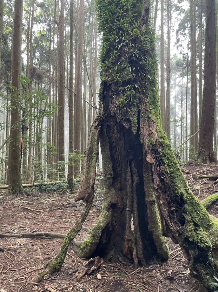 民都有山_2877338