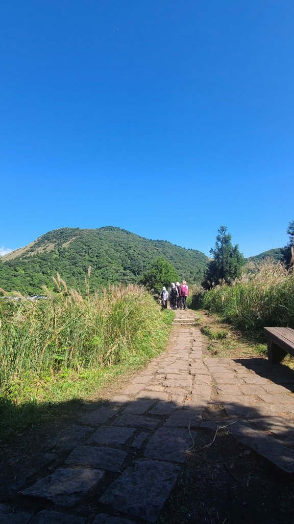 2023-1105 七星山外圍O型封面圖