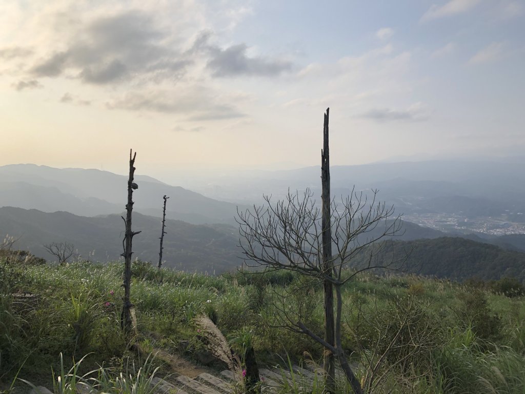 台灣小百岳No.011姜子寮山_908444