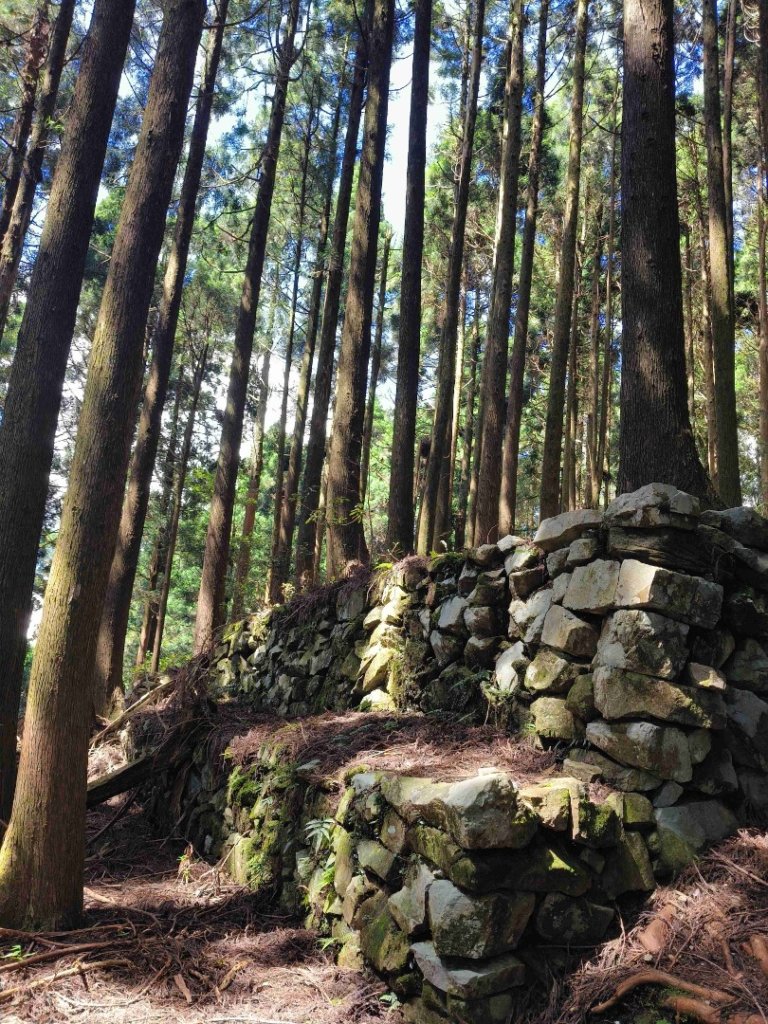 大混李棟山_2816316