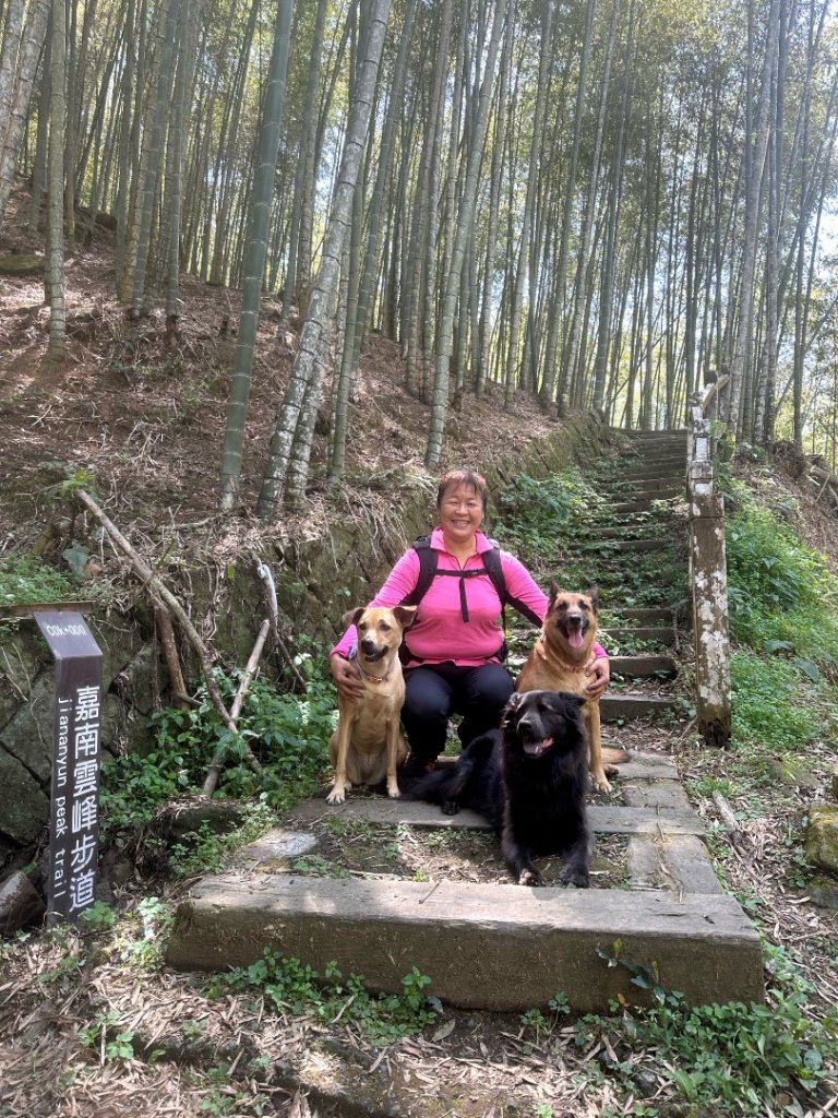 嘉南雲峰、九穹神木封面圖
