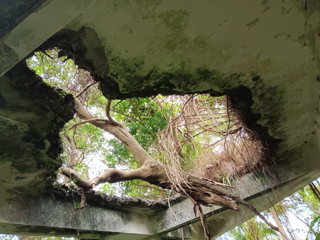 微笑山線和美山螢火蟲段_2986172