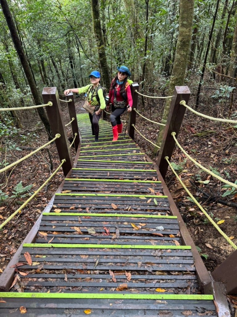小百岳馬那邦山(H1407m)加碼採草莓_2694710