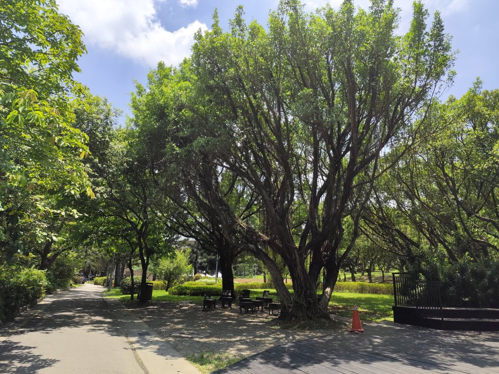 大港墘公園、大安森林公園、大稻埕、天母【走路趣尋寶】【臺北健走趣】_2554279