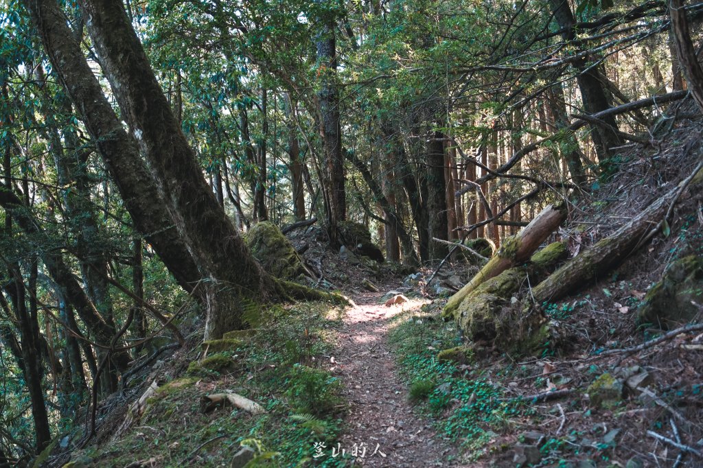 霞山鐵道野營_2843082