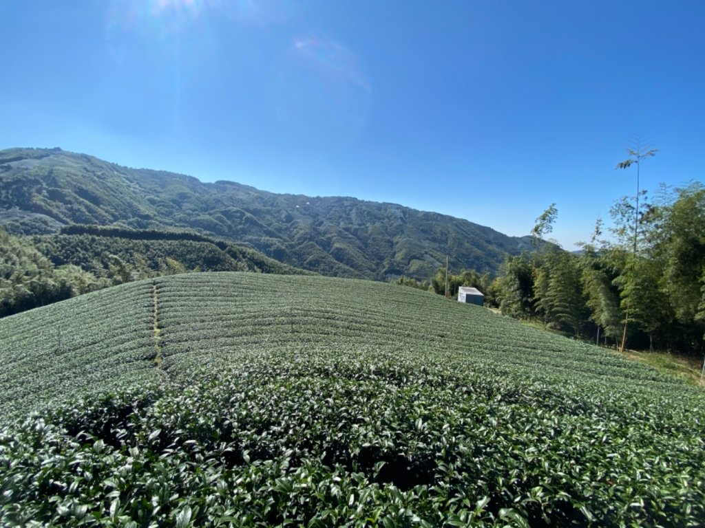 鹿谷小半天大崙尾山步道_1537507