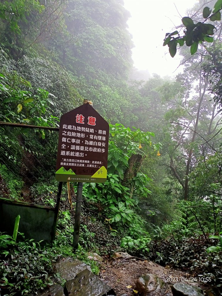 【臺北大縱走 6】象山公園→妙高台→拇指山頂峰登山口→南港山南峰→南港山→九五峰→中華科技大學_2126903