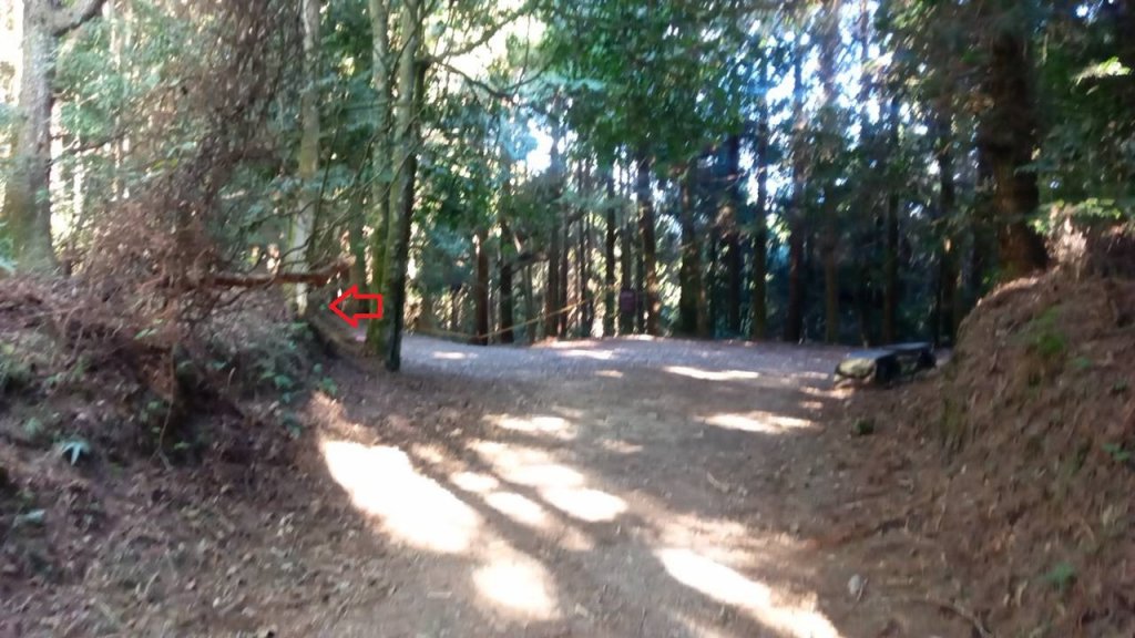 20221119 苗栗泰安雪見遊憩區 北坑山走走_1919864