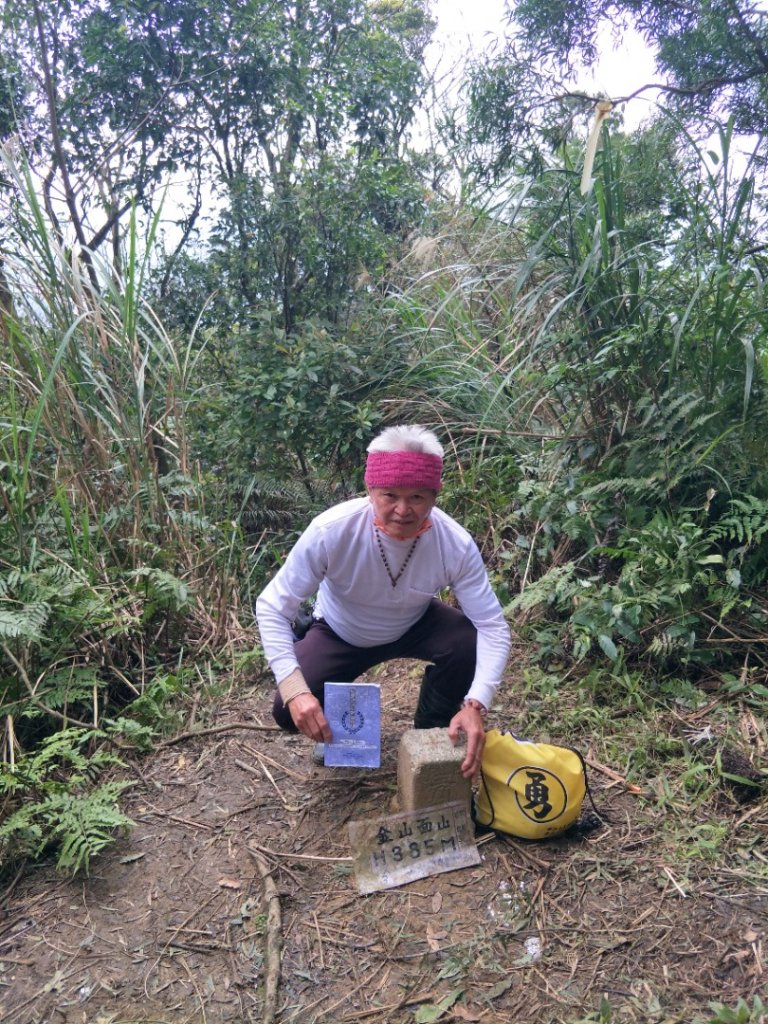 小百岳:金面山_1619315