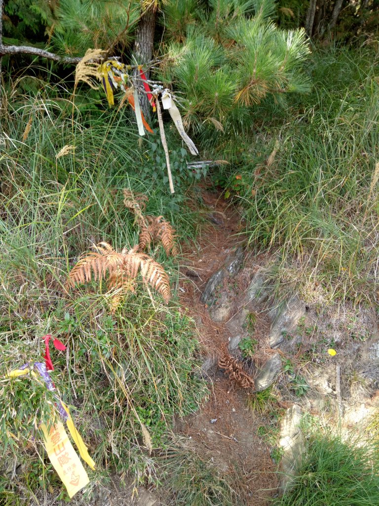 將軍廟上天鑾池+武法奈尾山_1881006