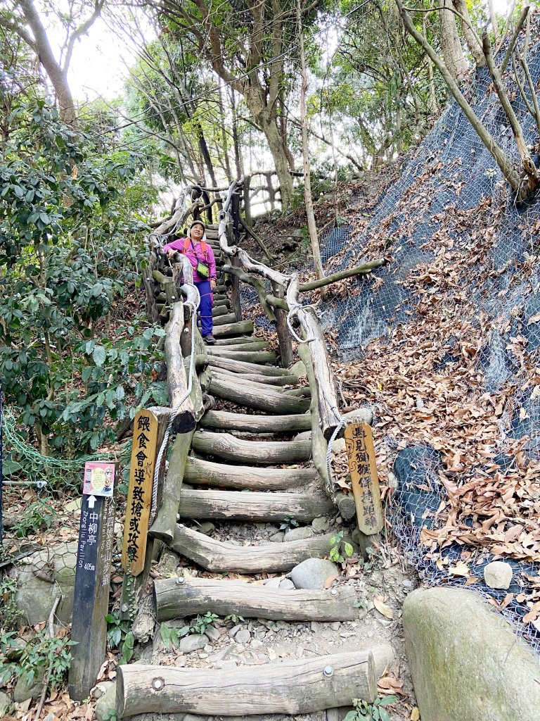 黑山北峰、黑山、石苓湖山、頭嵙山小O行_1312772