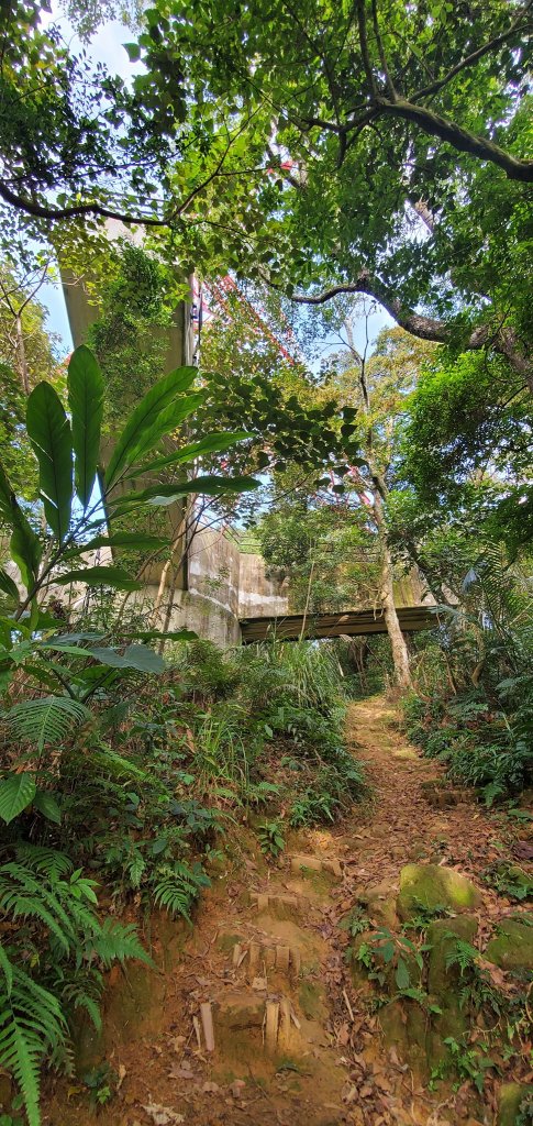 2022-01/09-桃園大溪-溪州山_1578437